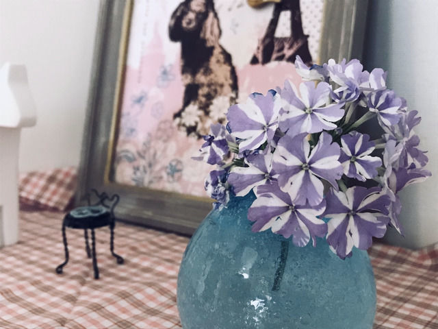 スーパーベナ アイストゥインクルの花