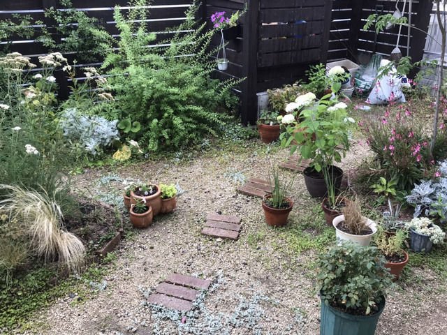 梅雨で雨が降っている庭の様子