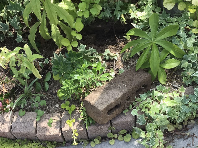 花壇から掘り出したレンガ