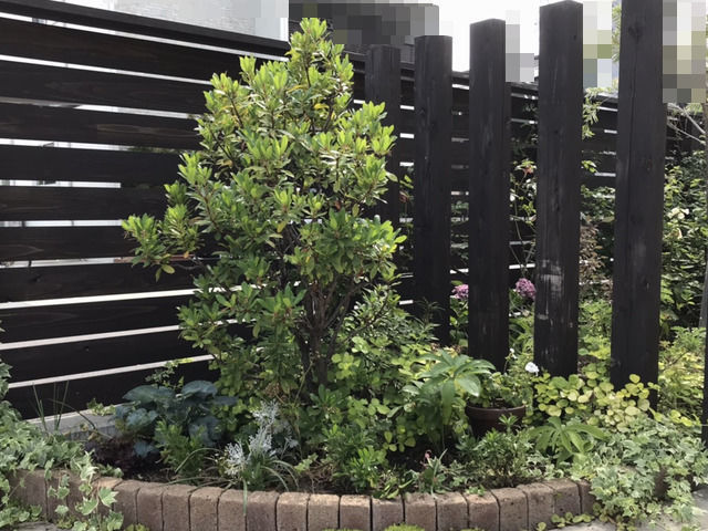 植え替えた後のコーナー花壇の様子・全体