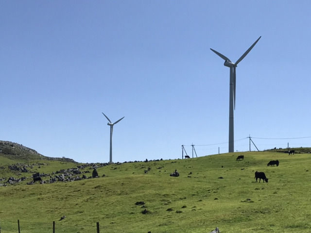 四国カルスト天狗高原の風景