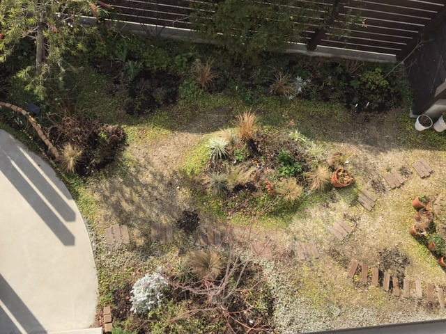 日が当たる1月の庭の様子