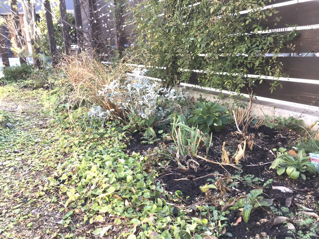 2021年1月の庭の様子