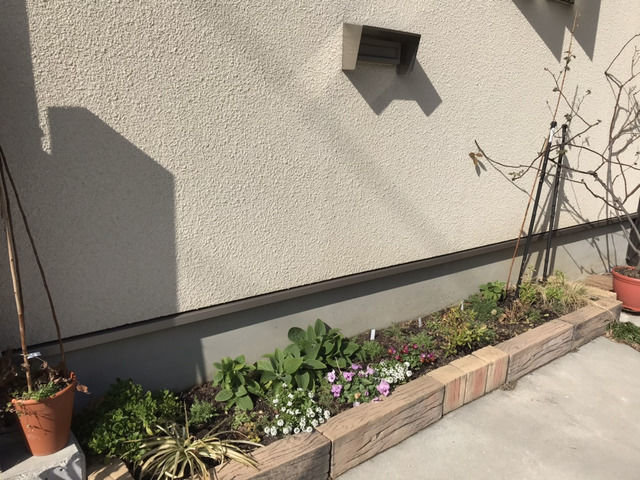 2021年1月の花壇の様子