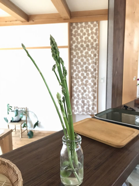 収穫したアスパラ