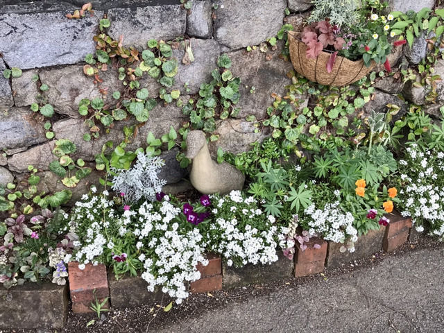 アンの庭の花壇