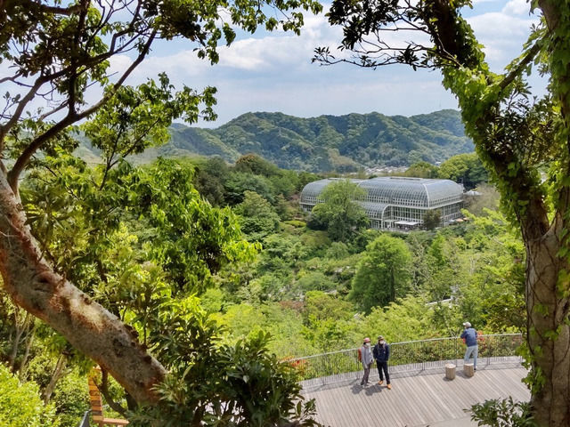 牧野植物園の景色