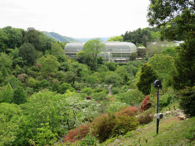 牧野植物園の温室