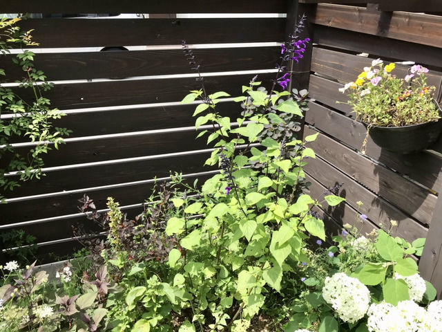 f:id:toniho:20210609160201j:plain