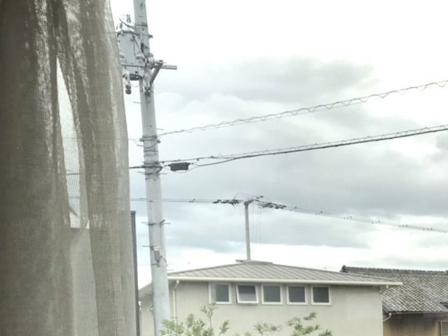居間から外を見た様子