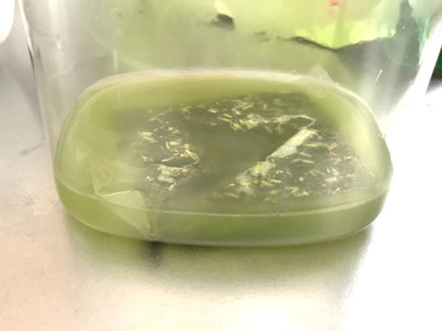 お茶の作り方