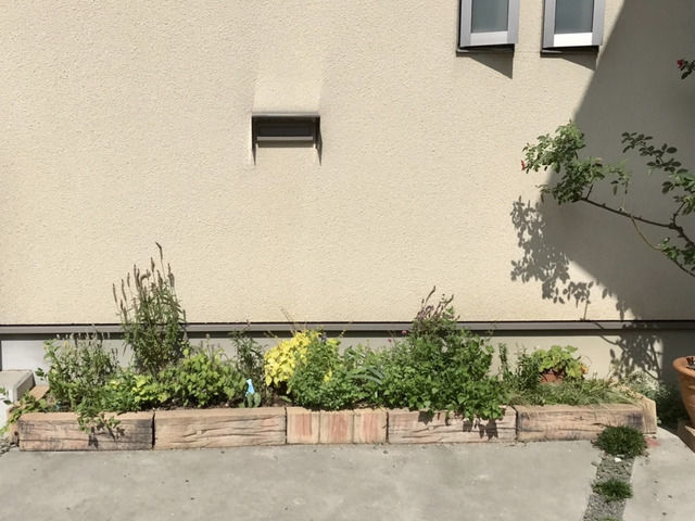 9月の駐車場花壇