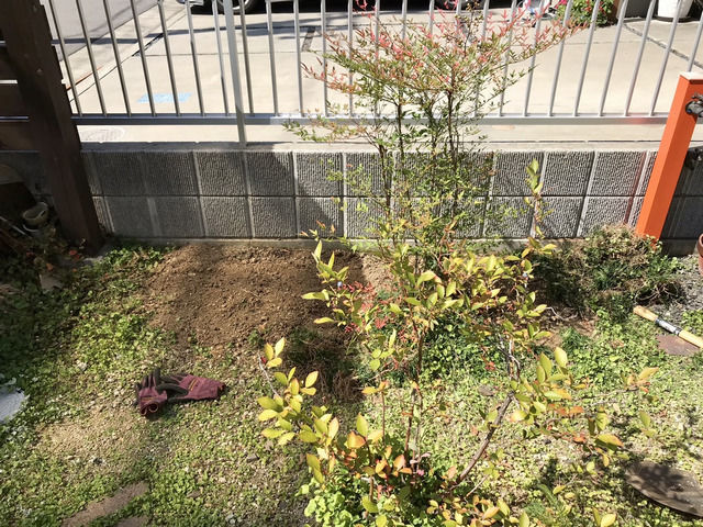 境界フェンス前を掘り返した様子