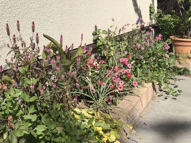 10月の駐車場花壇