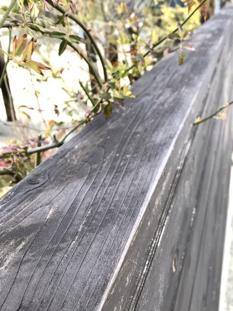 塗り直した板塀