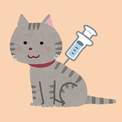 ペットの予防接種のイラスト