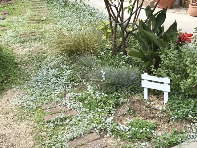 土の所に挿したガーデンフェンス