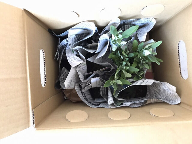 届いたばかりのおぎはら植物園の荷物