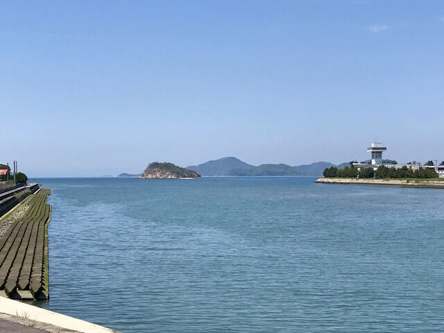 晴れた日の土器川河口の風景