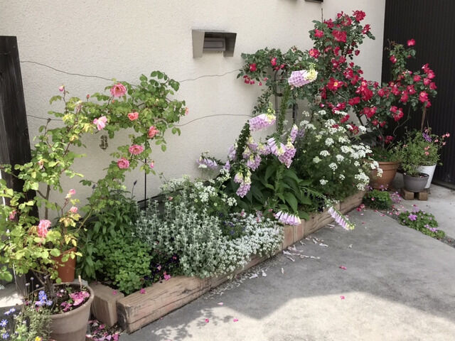 大雨の後の乱れた花壇