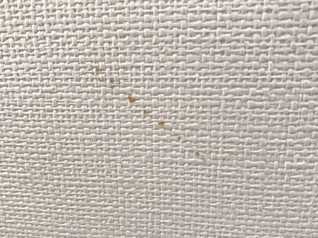 サンゲツの白い壁紙