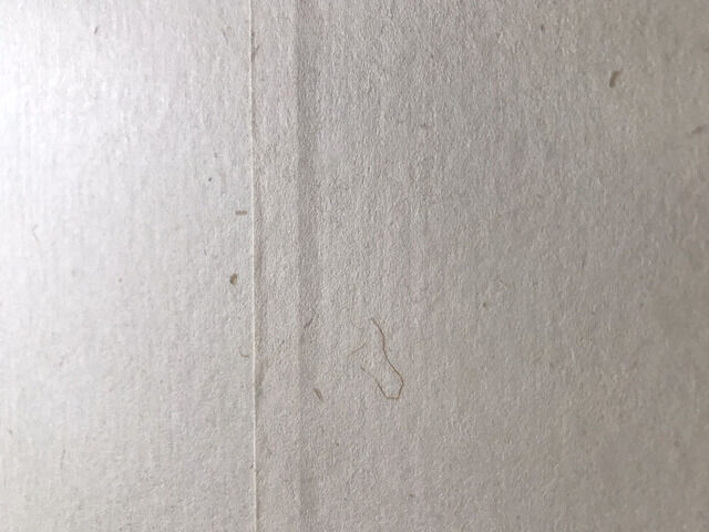 7年が経過した月桃紙のアップ