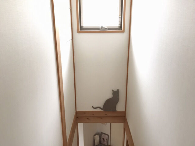 階段の壁とねこの照明