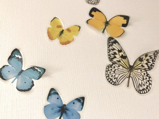 イケアの蝶のステッカーのアップ