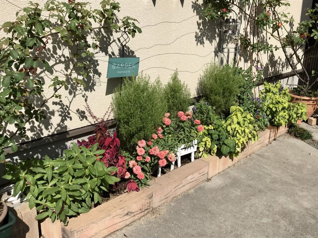 秋の花壇の様子