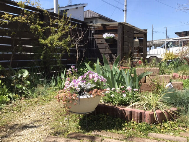 3月の庭の様子