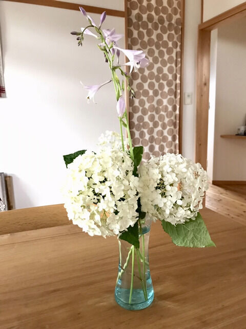 ホスタとアナベルの花