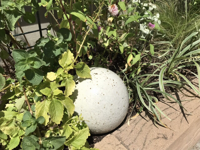 陶器の白いボールを置いた花壇の様子