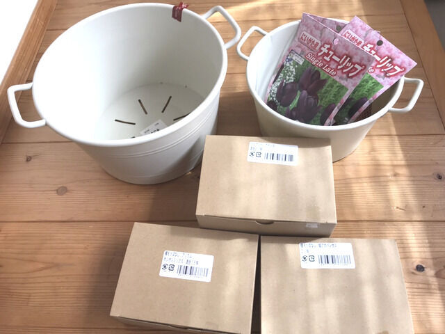 10月に買ったチューリップ球根と鉢