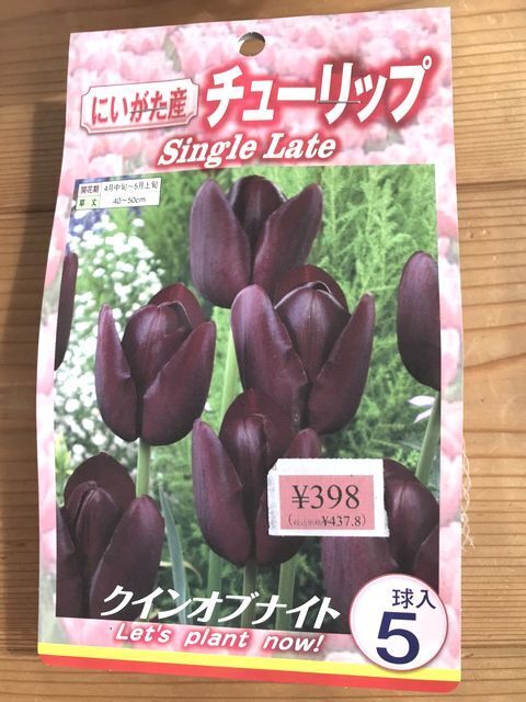 クインオブナイトのパッケージ画像