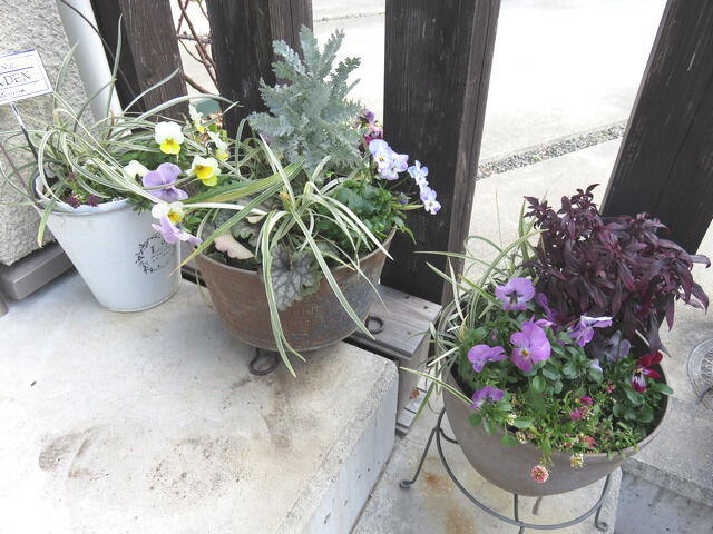 冬の寄せ植えを飾った玄関前