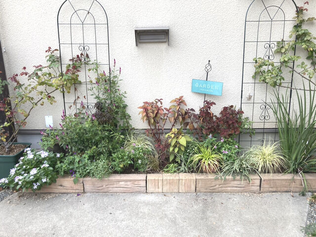 2025年10月の駐車場花壇