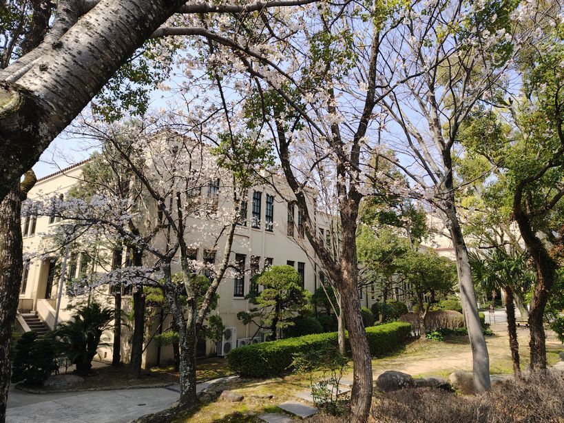 3月末の大学構内の様子
