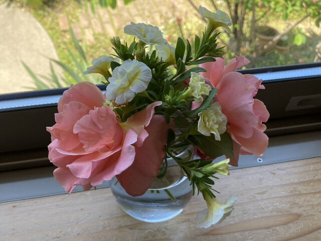花瓶に生けたサンセットグロウ