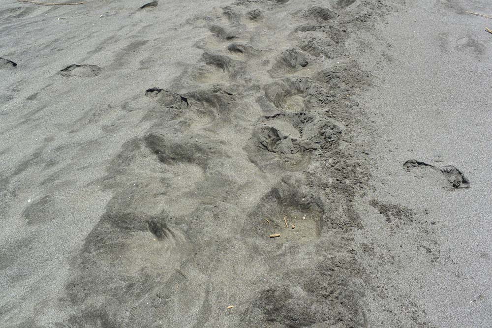 f:id:tonji44:20180604202501j:plain