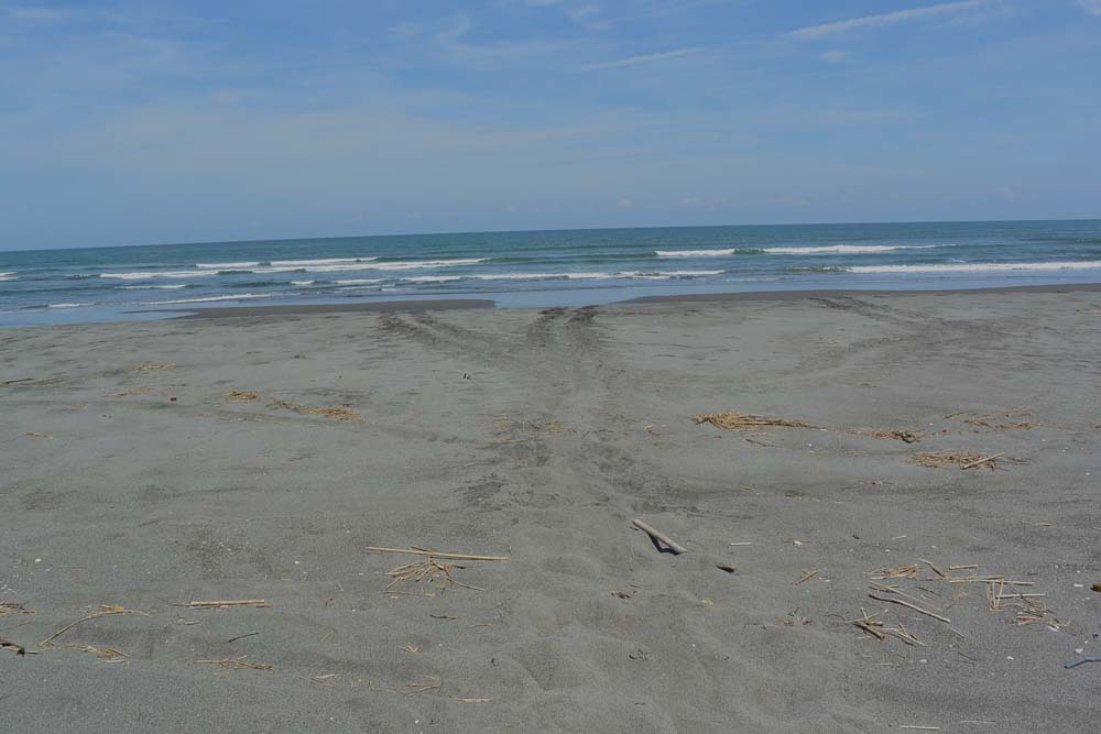 f:id:tonji44:20180604204527j:plain