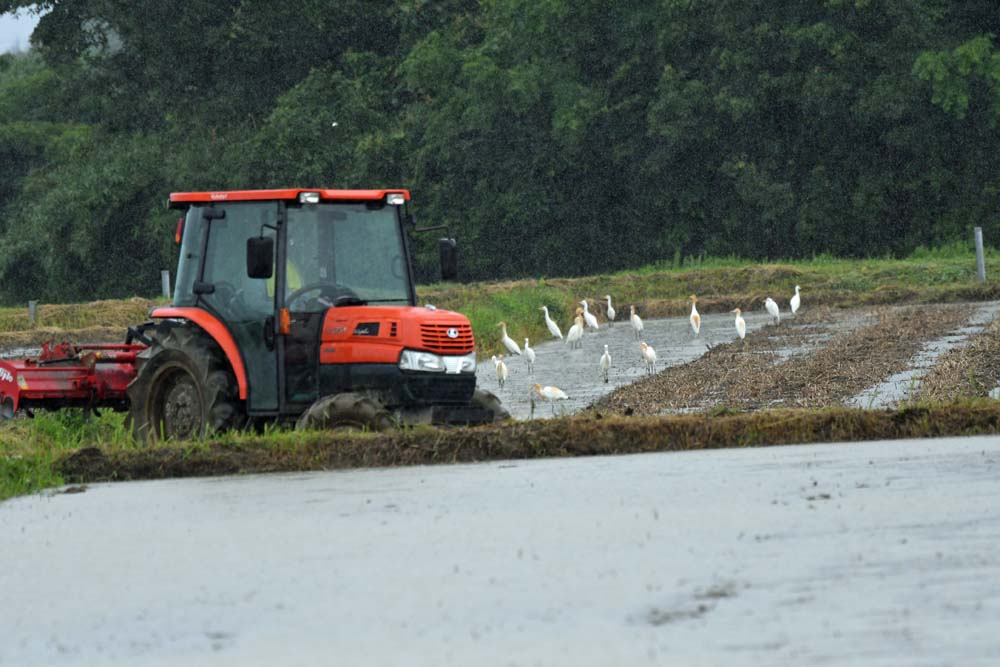 f:id:tonji44:20180605192633j:plain