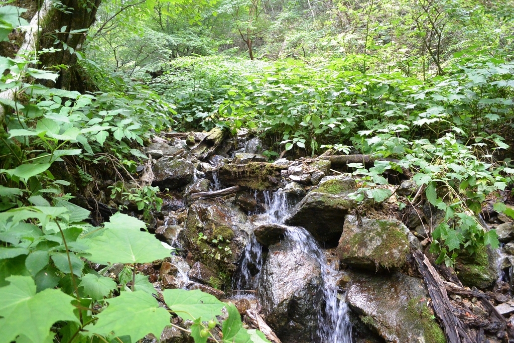 f:id:tonji44:20180830193824j:plain f:id:tonji44:20180830193824j:plain