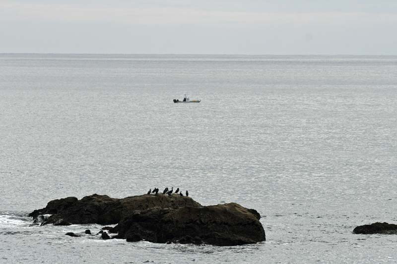 f:id:tonji44:20190111201912j:plain