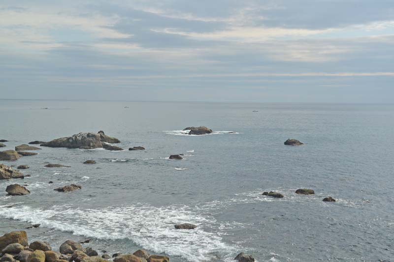 f:id:tonji44:20190111202027j:plain