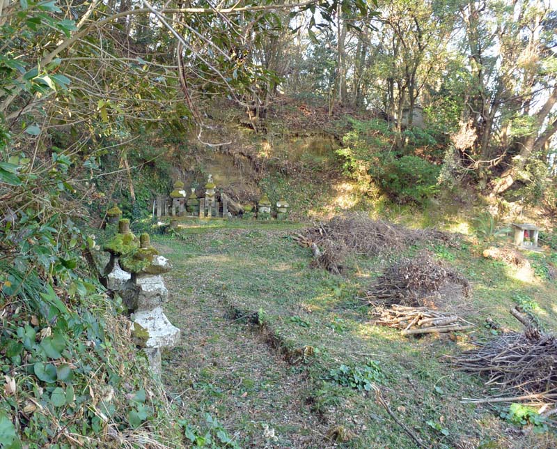 f:id:tonji44:20190205180337j:plain