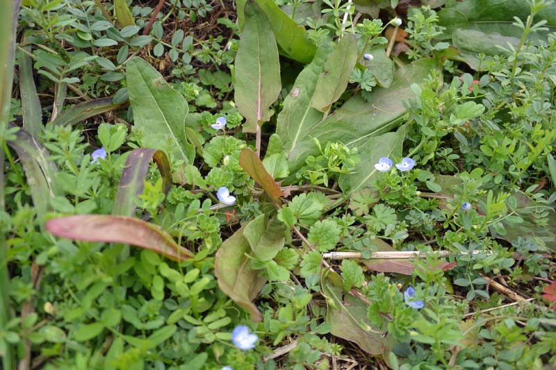 f:id:tonji44:20190218115416j:plain f:id:tonji44:20190218115416j:plain