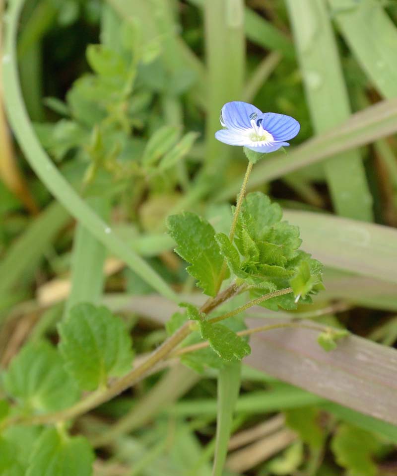 f:id:tonji44:20190218115641j:plain f:id:tonji44:20190218115641j:plain