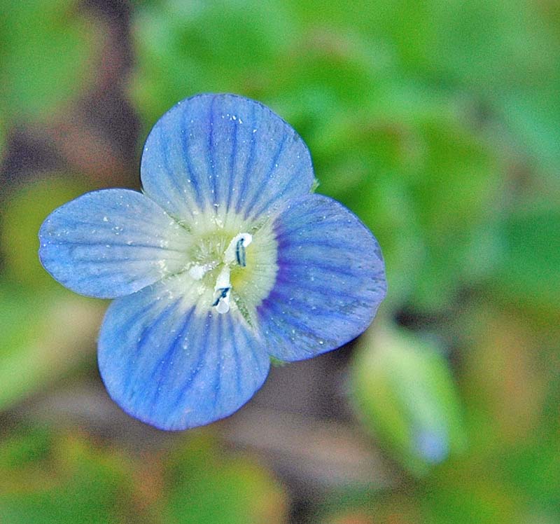 f:id:tonji44:20190218115857j:plain f:id:tonji44:20190218115857j:plain