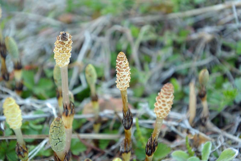 f:id:tonji44:20190223205708j:plain f:id:tonji44:20190223205708j:plain