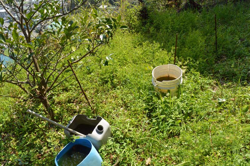 f:id:tonji44:20190328173316j:plain